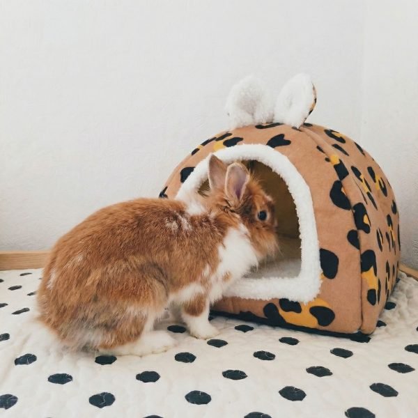 rabbit house cosy hideout