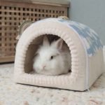 rabbit house hideaway
