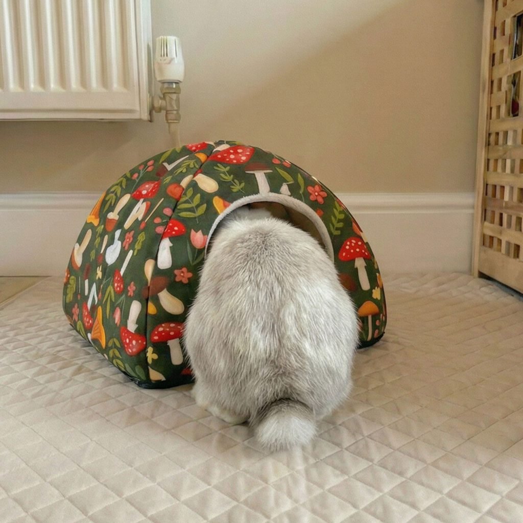 rabbit house hideout