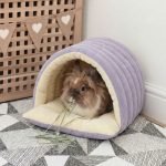 rabbit house purple
