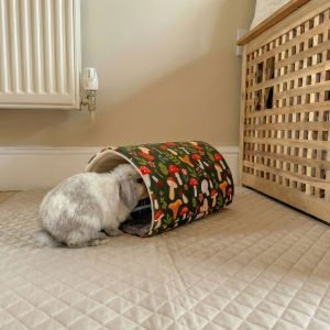 rabbit house tunnel