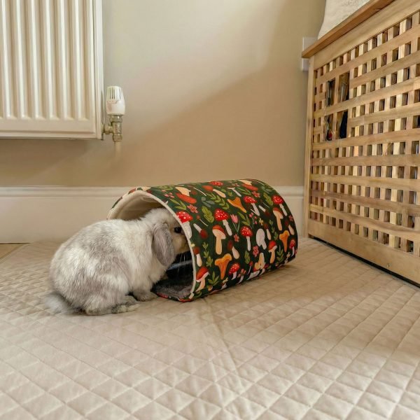 rabbit house tunnel rabbit house tunnel