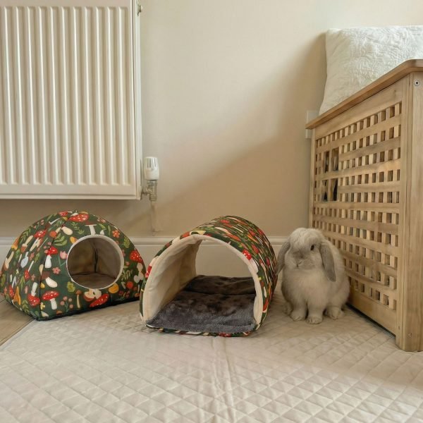 rabbit house tunnel forest