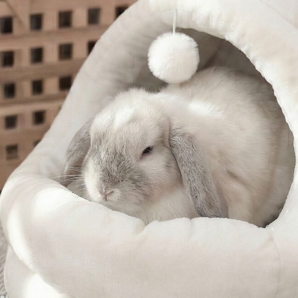 rabbit house white