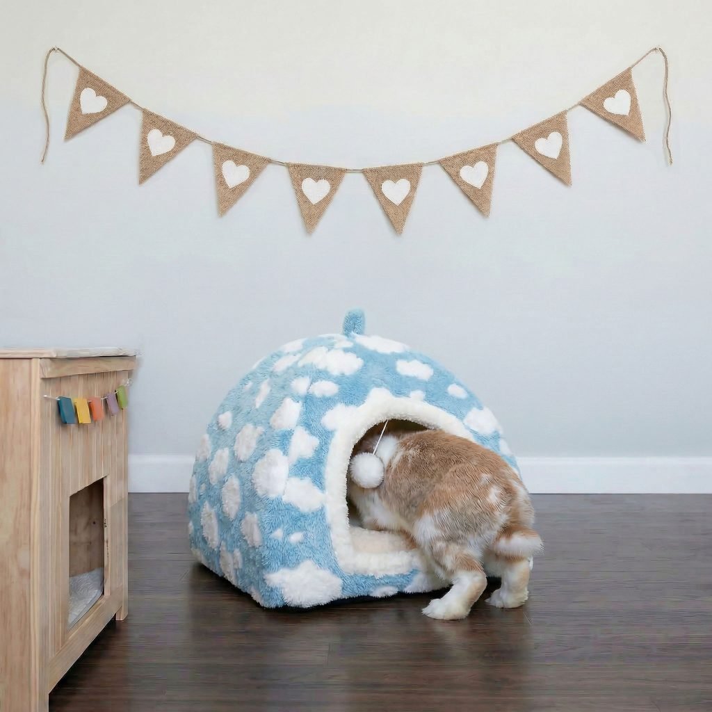 rabbit house with cloud