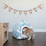 rabbit house with cloud