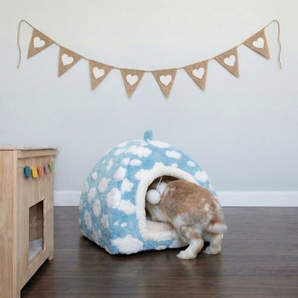 rabbit house with cloud