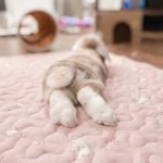rabbit mat for paws