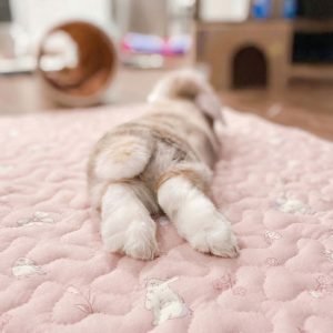 rabbit mat for paws