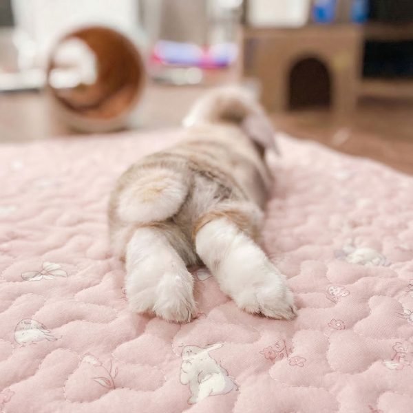 rabbit mat for paws rabbit mat for paws