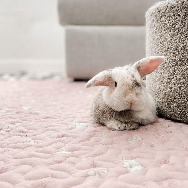 rabbit mat pink