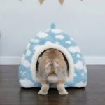rabbit setup house