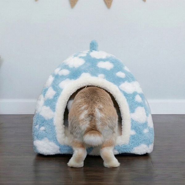 rabbit setup house