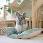 rabbit snuggle bed blue