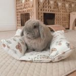 rabbit snuggle bed white