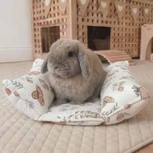rabbit snuggle bed white