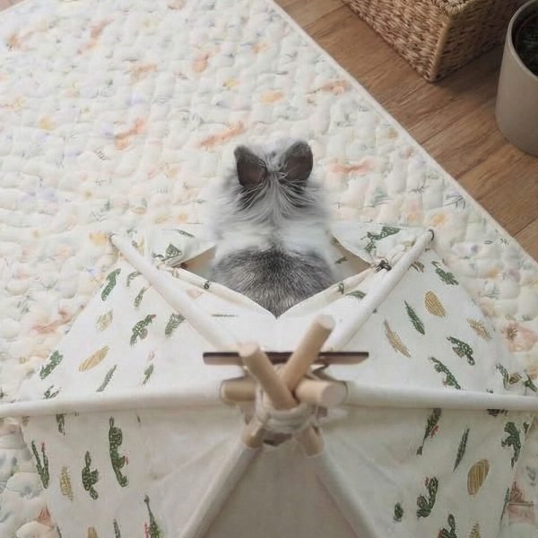 rabbit tent bunny house