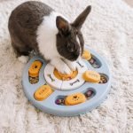 rabbit toy treats