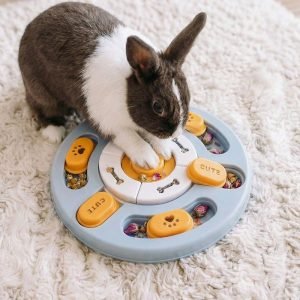 rabbit toy treats