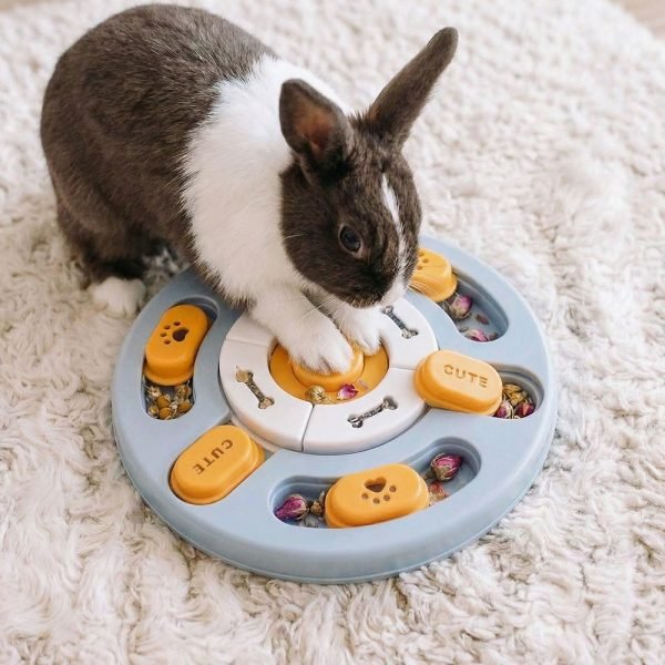 rabbit toy treats rabbit toy treats