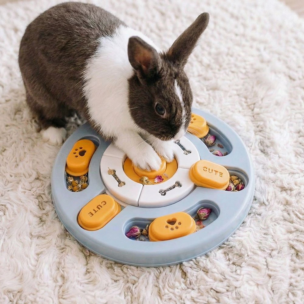 rabbit toy treats