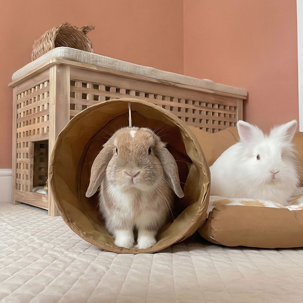 rabbit toys tunnel