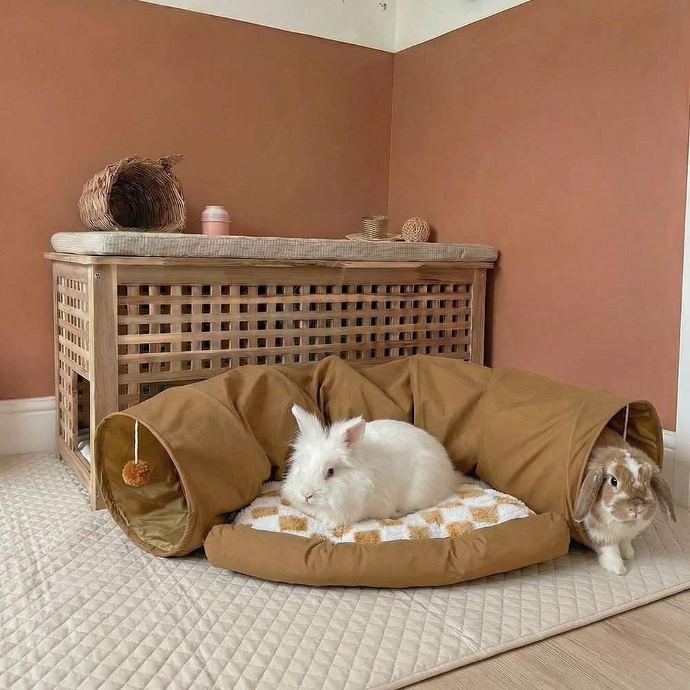 rabbit tunnel brown