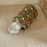 rabbit tunnel hideout