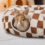rabbit tunnel rabbit toys