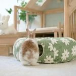 rabbit tunnel with flowers