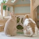 rabbits feeder