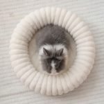 round rabbit bed naps
