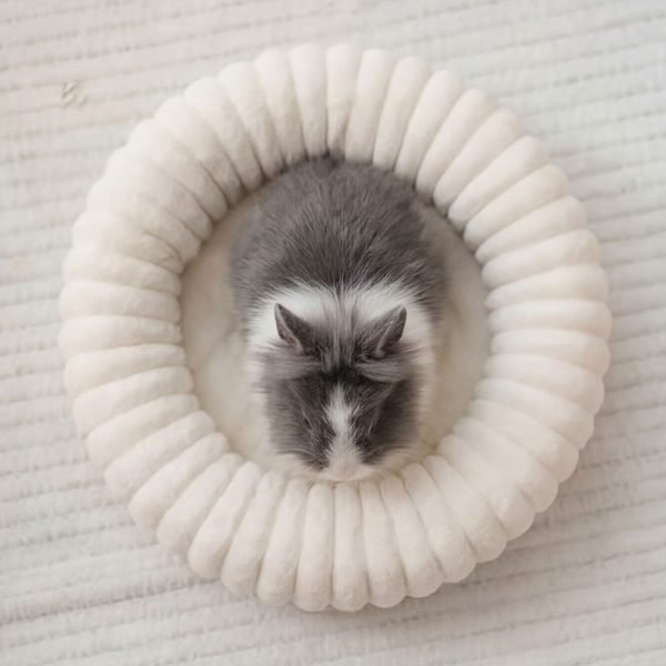 round rabbit bed naps
