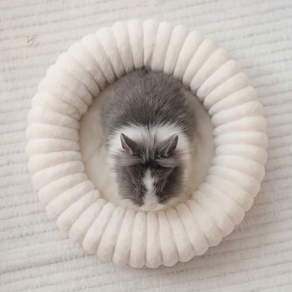 round rabbit bed naps