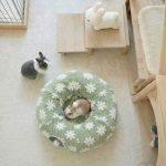 round rabbit tunnel enrichment