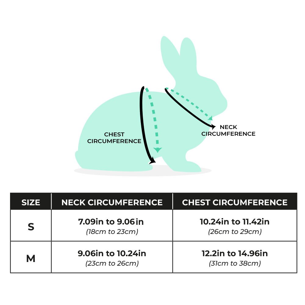 Rabbit harness size guide