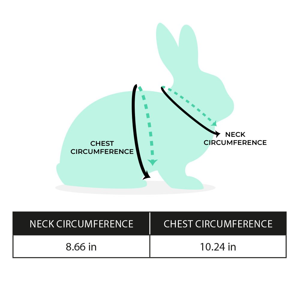 Strawberry rabbit harness size guide