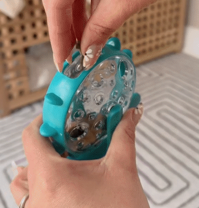 toy wheel for rabbits