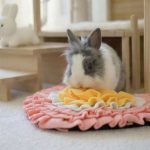 toys for rabbits foraging mat