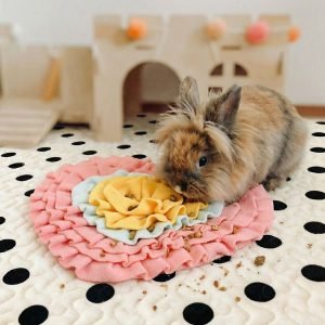 toys for rabbits mat enrichment