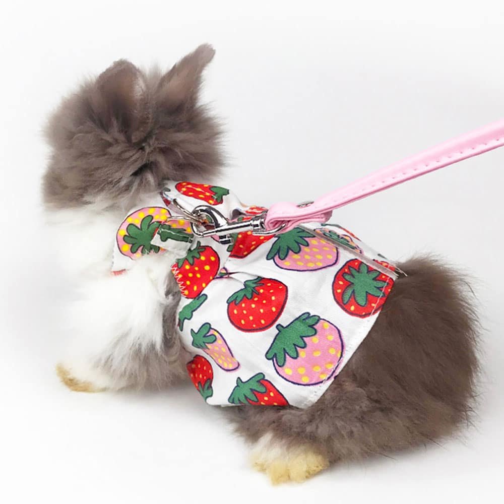 Strawberry rabbit clothes harness