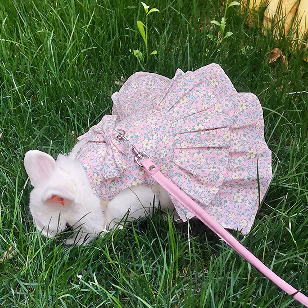 Liberty rabbit clothes