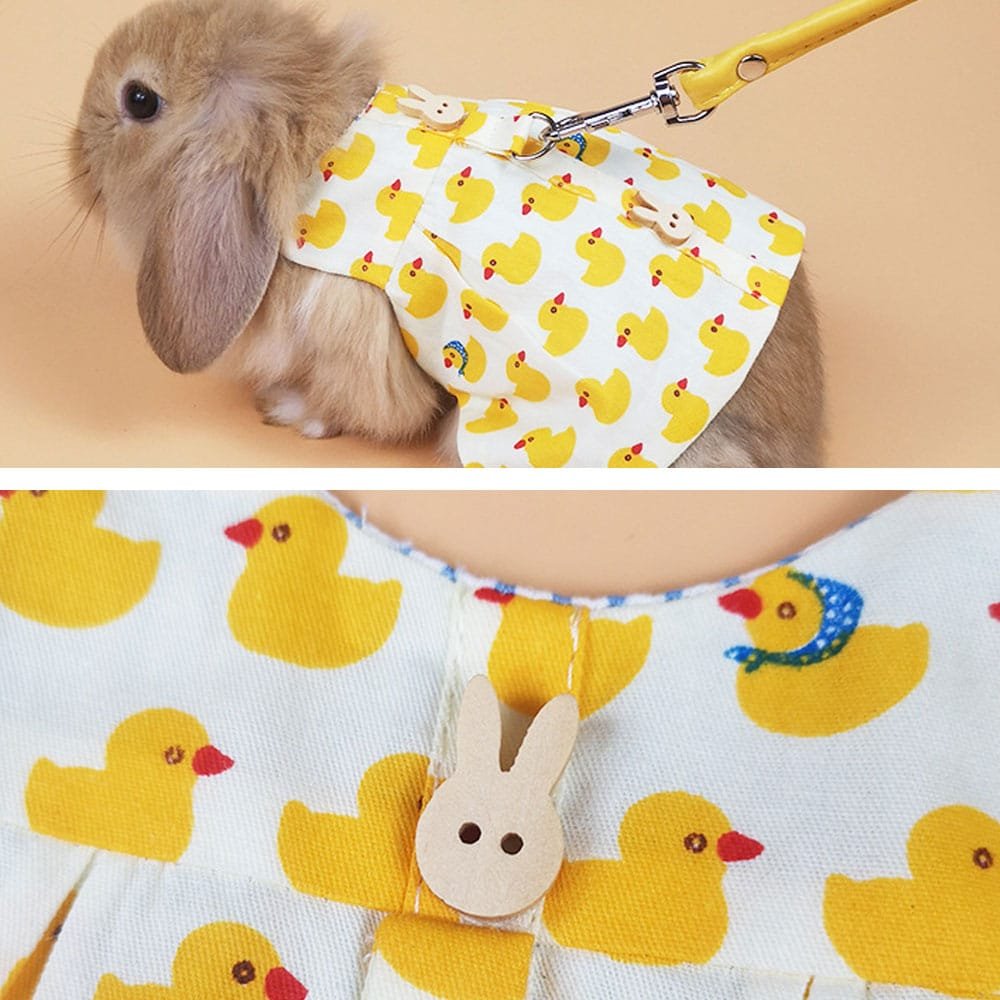 rabbit harness