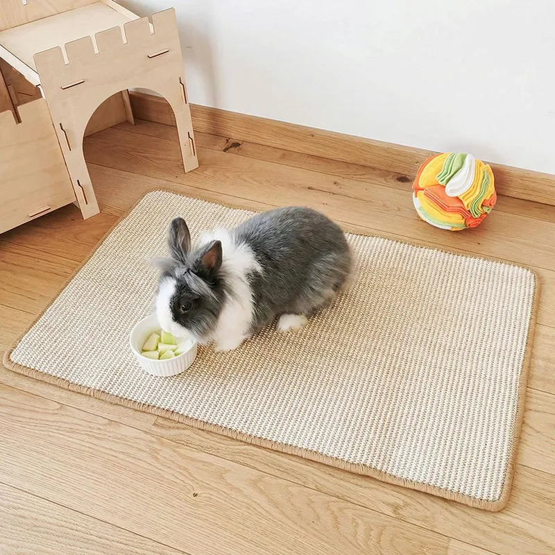 Gray and white rabbit sitting on a natural sisal Rabbit World mat.