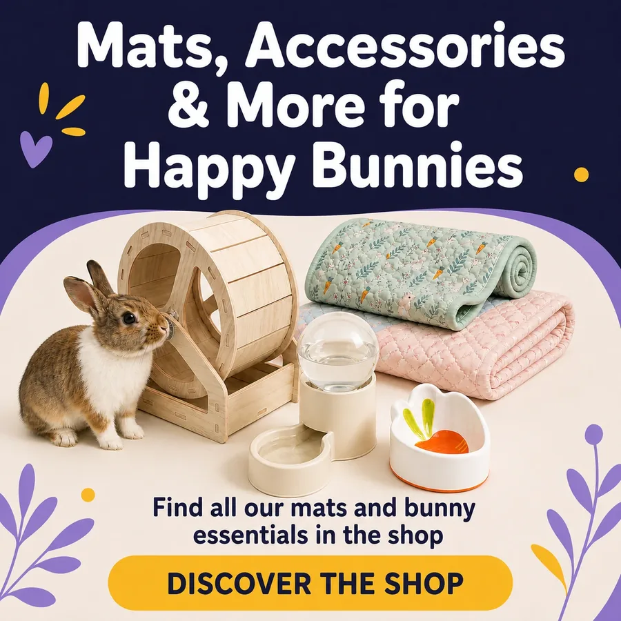Discover Rabbit World mats and bunny essentials