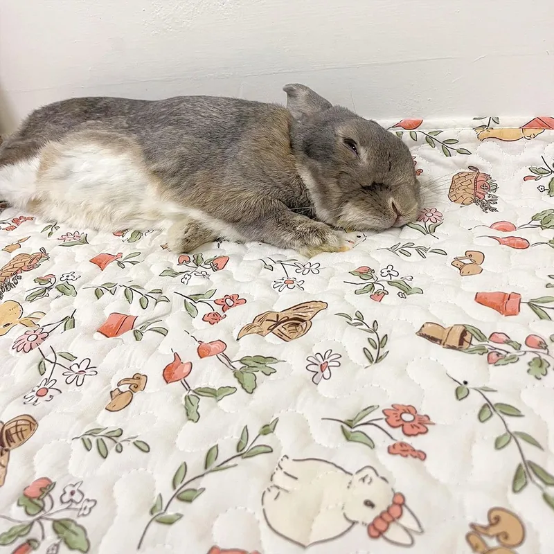 Gray rabbit resting comfortably on a padded Rabbit World enclosure mat.