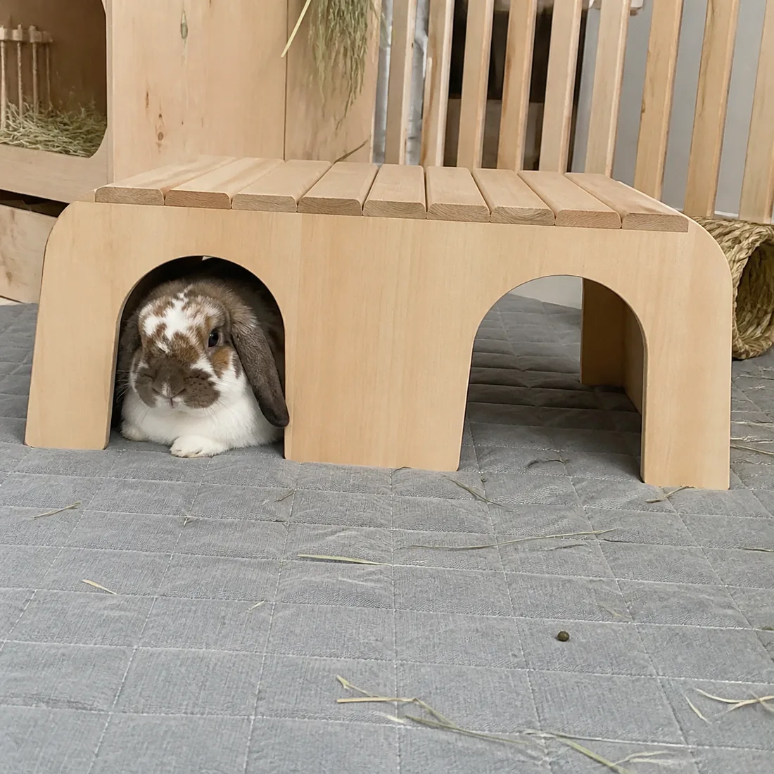 A house rabbit relaxing in a wooden hideout with two clearly visible exits