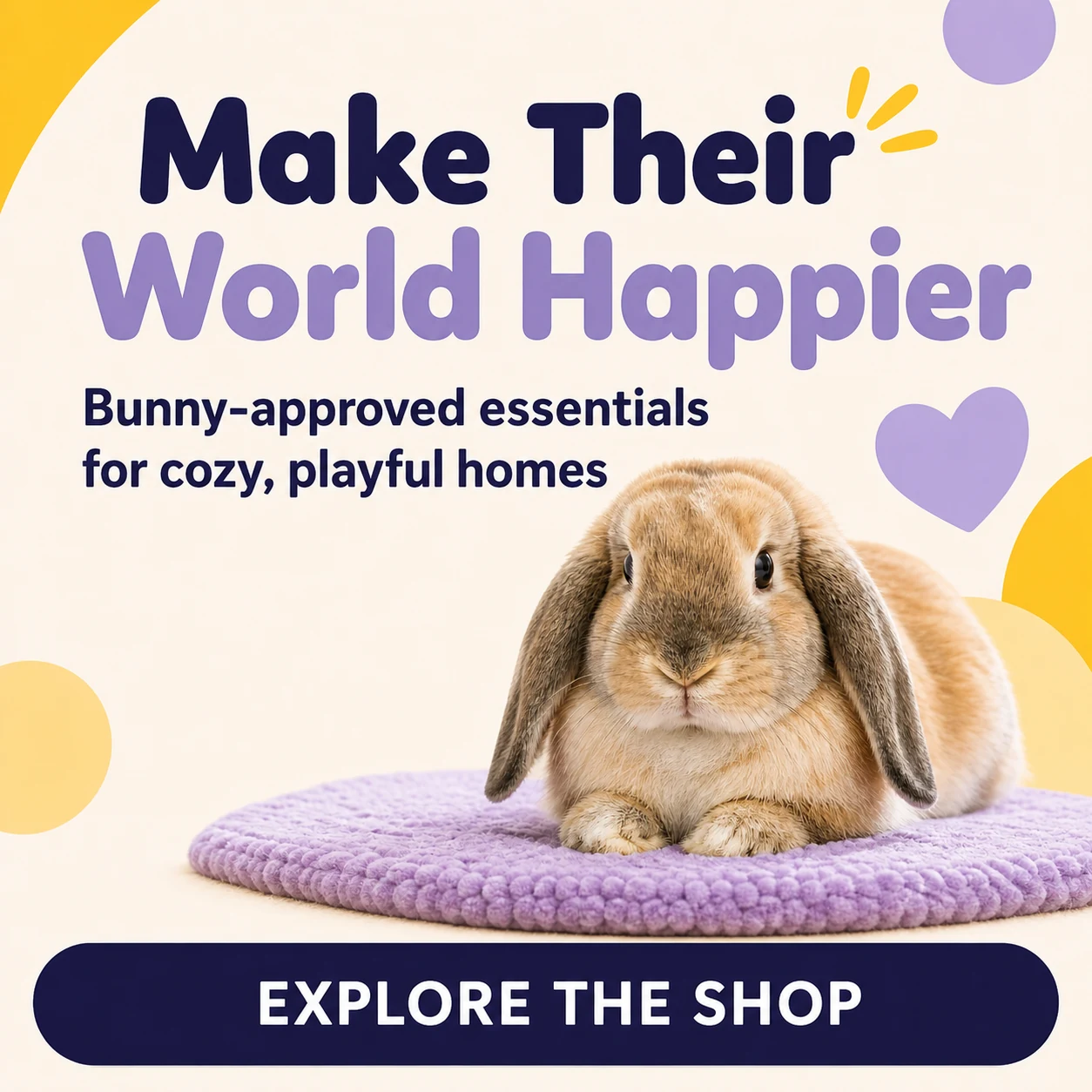 Discover Rabbit World supplies for comfortable indoor rabbit homes