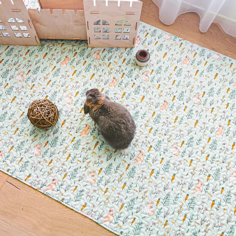 House rabbit exploring a spacious indoor setup covered with a large padded Rabbit World mat.