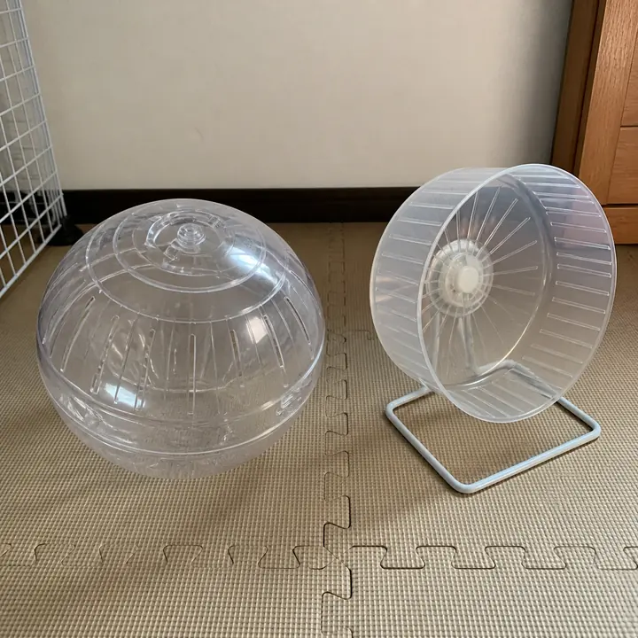 Plastic exercise ball and hamster wheel that are unsuitable for rabbits